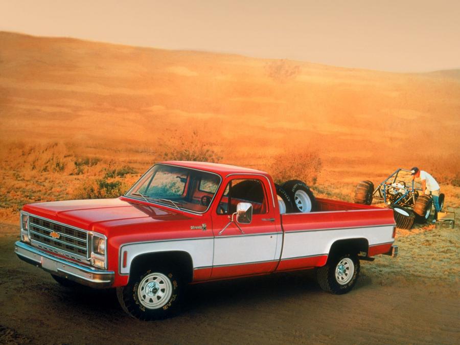  Chevrolet C20 Silverado Fleetside 1979 года  (фото 2 из 3)